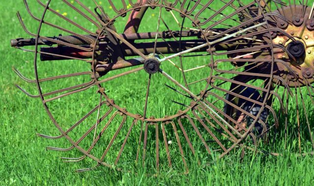 hay tedder, agriculture, rural, machine, rust, wheel, harvester, historical, pasture, meadow, grass, green, turning machine, turning device, hay, nature, metal, iron, old, work, working device