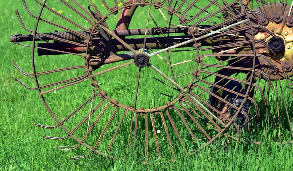 hay tedder, agriculture, rural, machine, rust, wheel, harvester, historical, pasture, meadow, grass, green, turning machine, turning device, hay, nature, metal, iron, old, work, working device