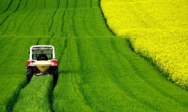 rapeseeds, field, tractor, nature, harvest, tractor, tractor, tractor, tractor, tractor, harvest, harvest