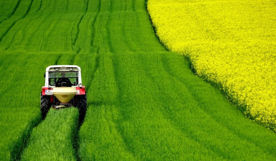rapeseeds, field, tractor, nature, harvest, tractor, tractor, tractor, tractor, tractor, harvest, harvest