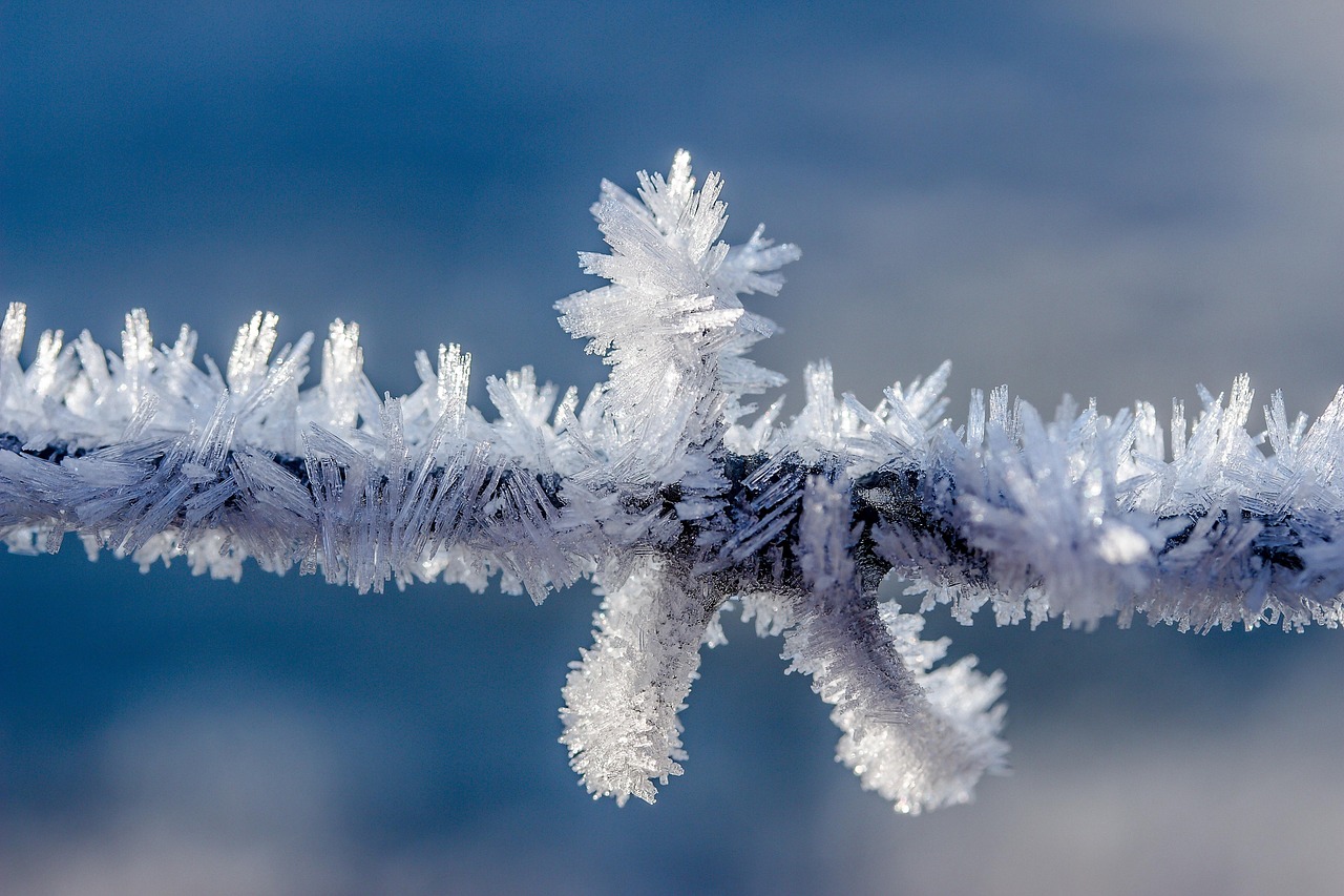 barbed wire, frost, frozen, cold, ice, crystals, hoarfrost, crystal formation, icy, winter, winter impressions, wire, white, nature, rime, close up, frosty, snowy, wintry, frost, frost, frost, frost, frost, frozen, ice, ice, ice, winter, winter