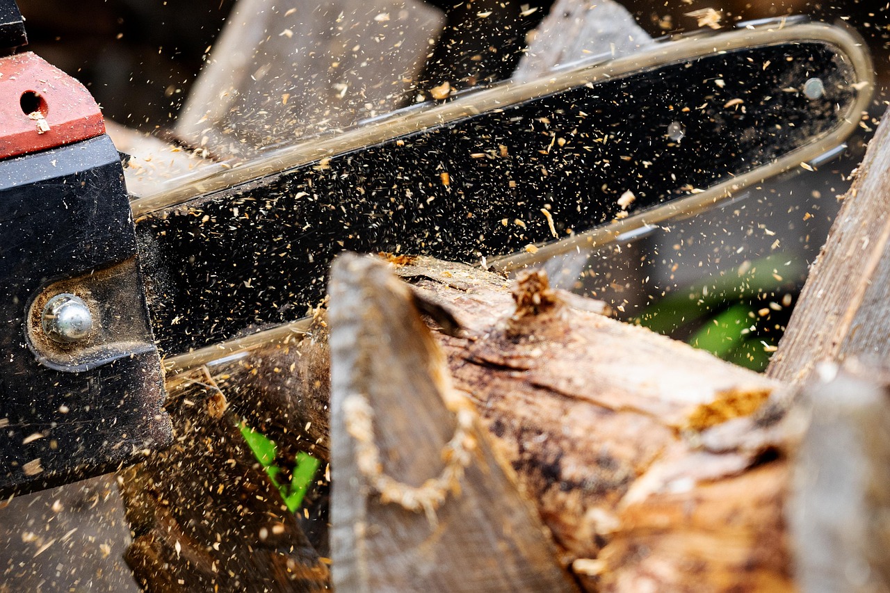 chainsaw, wood, saw, dangerous, timber, wood supply, work, chainring, lumberjack, forest, woodwork, sharp, nature, section, firewood, tool, tree, blade, sawdust, machine, chain, milling cutters