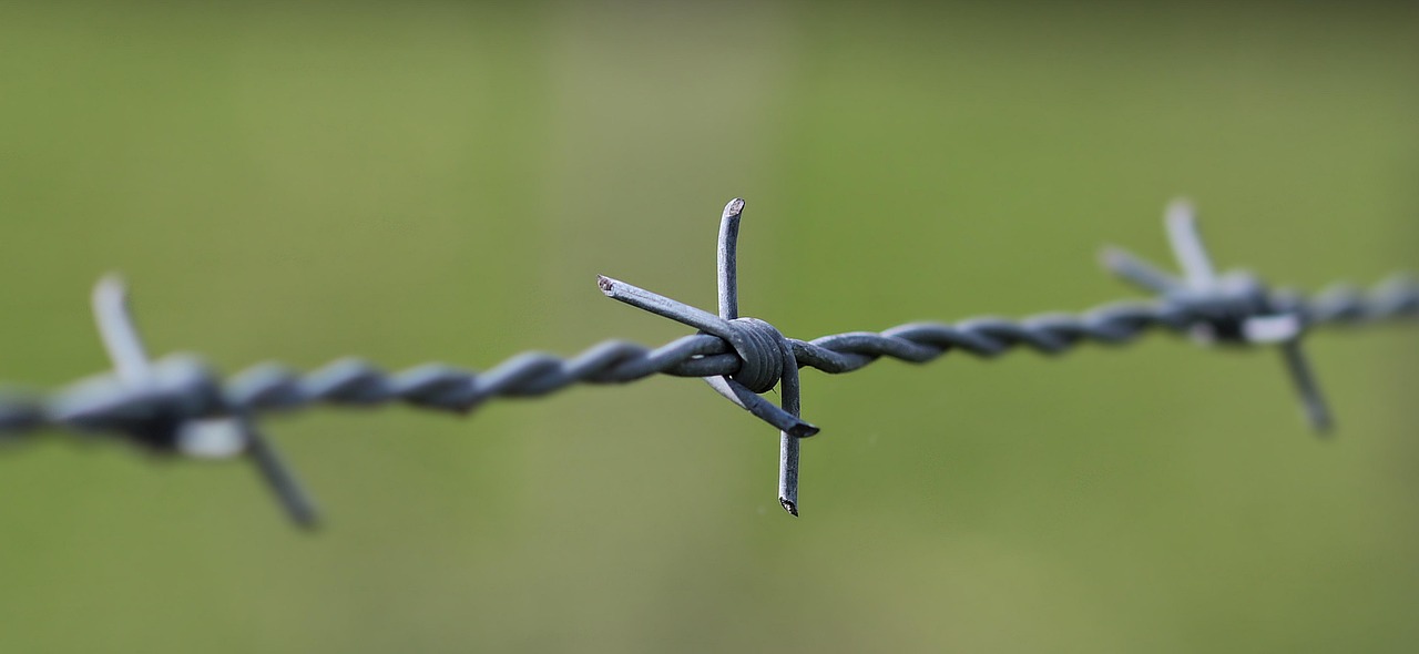 barbed wire, pasture fence, fence, delimitation, wire, pasture, barrier, metal, green, meadow, barbed wire fence, barbed wire, barbed wire, barbed wire, barbed wire, barbed wire, fence, fence, fence, fence, wire, barrier