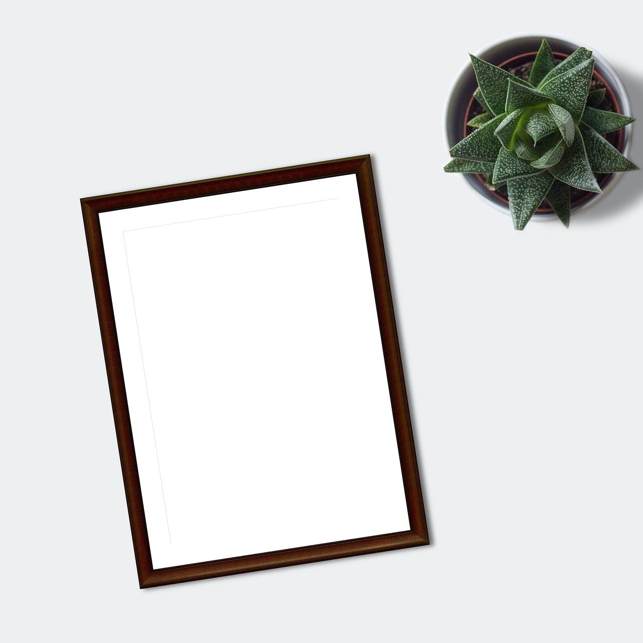 frame, mockup, flatlay, plant, ecommerce, blank, paper, marketing, business, succulent, sheet, desk, table, white sheet, portfolio, shop, drawing, painting, layout, digital art, digital, poster, picture, nature, instagram, blog