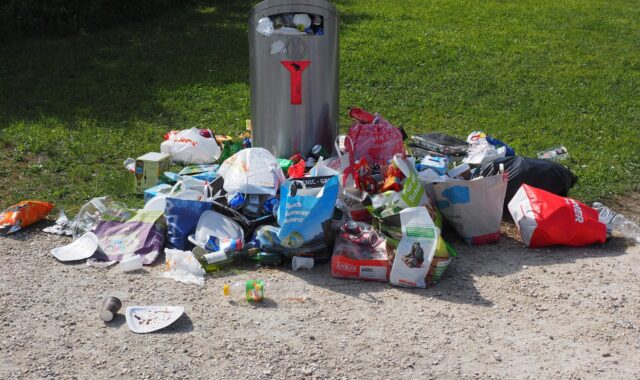 garbage can, garbage, environmental pollution, waste, waste bins, waste disposal, throw away society, environmental protection, disposal, waste container, garbage, garbage, garbage, garbage, garbage, waste, waste